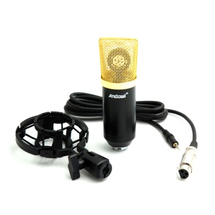 microphone 26.jpg